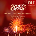 Spring Festival Holiday Announcement 2025
